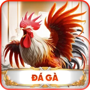 Đá Gà UY88 - Sàn Đầu Nảy Lửa Kịch Tính Cho Mọi Chiến Kê
